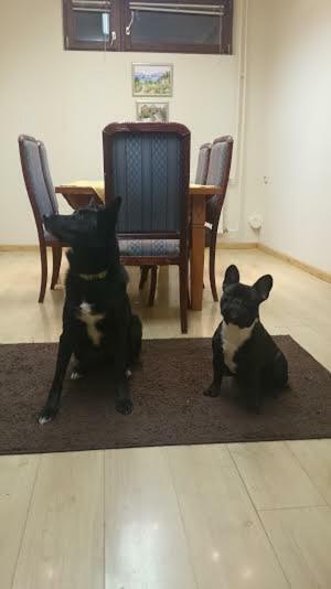 Apartment Comeback Zágráb Kültér fotó